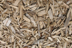 biomass boilers Ddol Cownwy
